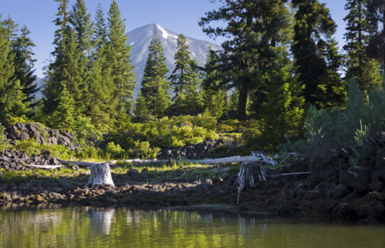 An Eco-Friendly Town of the Future